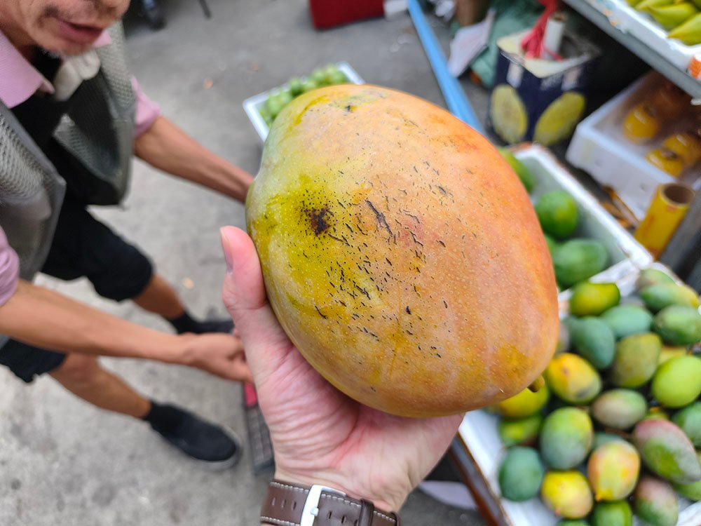 海花岛候鸟集市